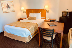 Business one queen bed guest room