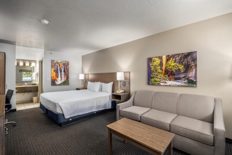 Single King Bed