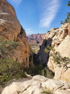 Snow Canyon State Park